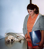 photo of visit to vet