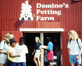 Domino's Farm