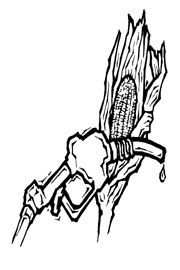 Gas Pump Image