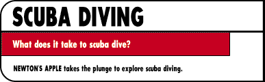 SCUBA DIVING What does it take to scuba dive?  NEWTON'S APPLE takes the plunge to explore scuba diving