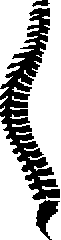 spinal